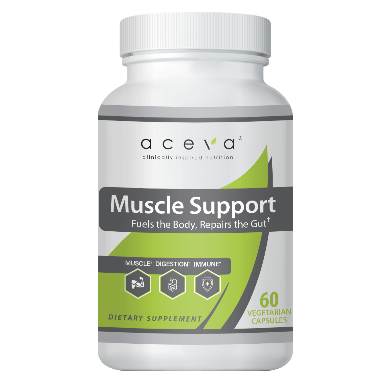 Muscle Support